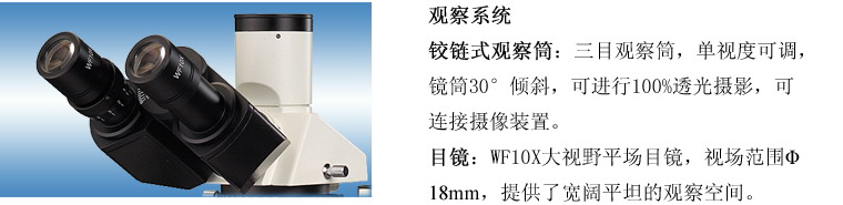 2024新澳门2024原料网1688